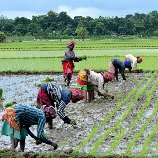 Agriculture News: किसानों के लिए बड़ी खबर, Carbosulfan कीटनाशक पर प्रतिबंध की तैयारी; केंद्र ने Health और Environment Risk के बाद उठाया कदम