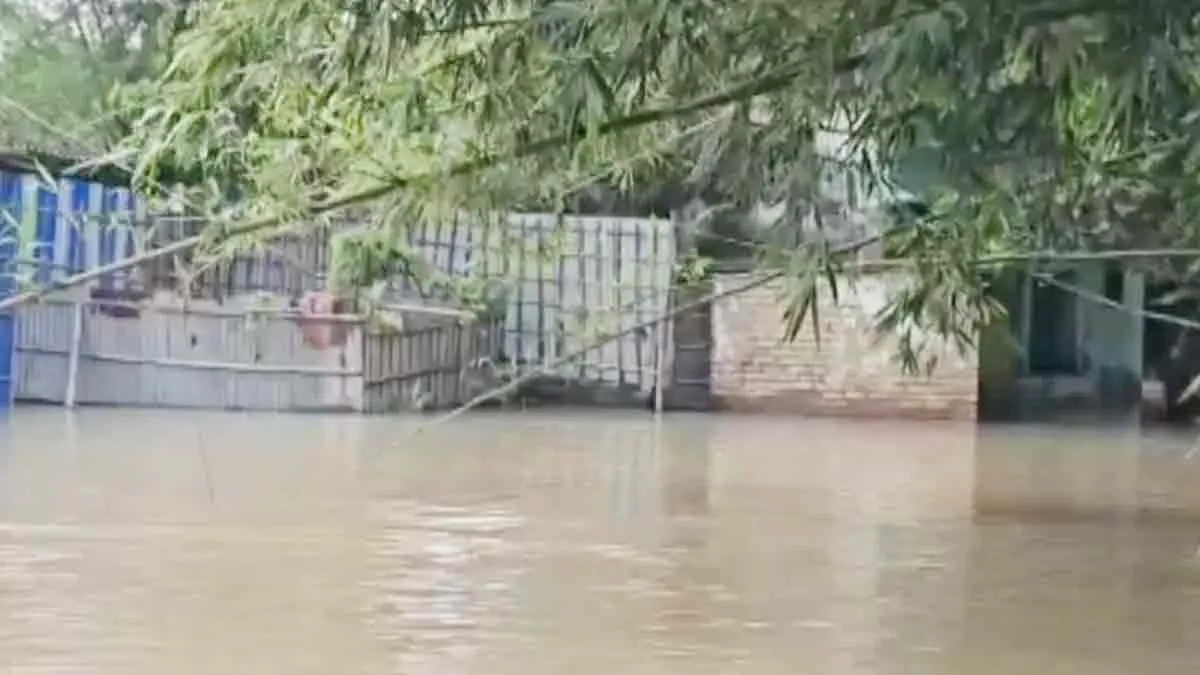 कटिहार में बाढ़ से हाहाकार: 7 गांवों में घुसा पानी, बांध टूटा; लोग बोले—न पीने का पानी, न खाने का इंतजाम