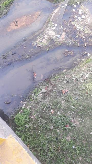 नदी में नवजात शिशु मृत अवस्था में दिखने से लोगो में हंगामा