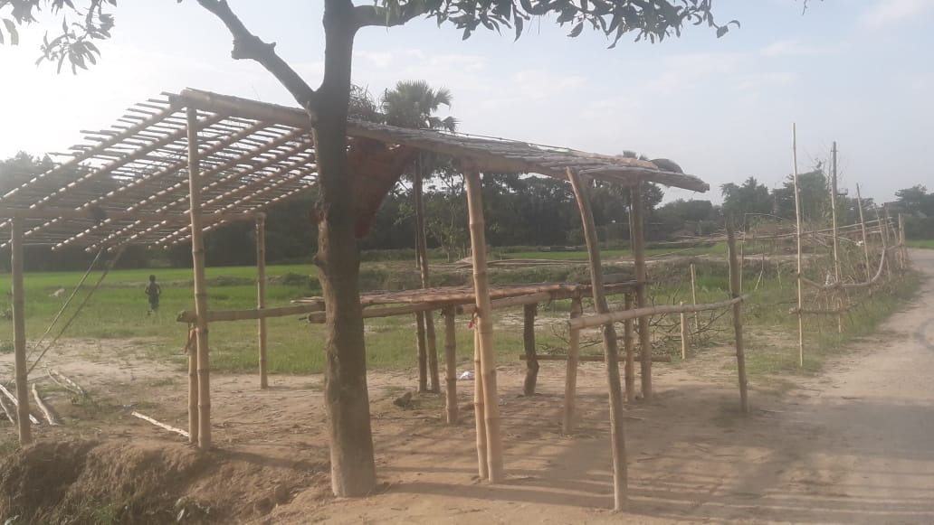 मधेपुरा:-परमानपुर वार्ड नंबर 15 नशैरी का बन गया अड्डा