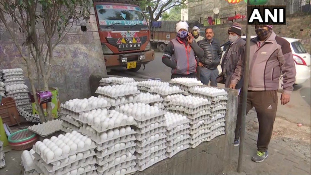 दिल्ली: बर्ड फ्लू के बढ़ते मामलों के कारण अंडे और चिकन कारोबारियों को भारी नुकसान