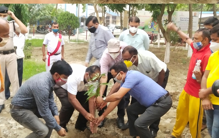 विश्व पर्यावरण दिवस के अवसर किया वृक्षारोपण