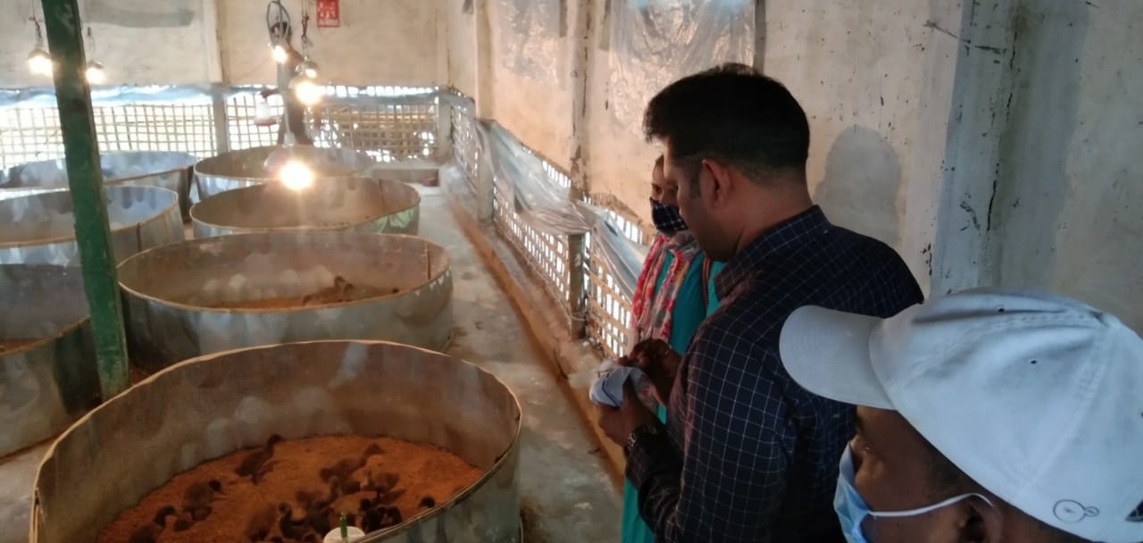 रानीगंज प्रखंड अंतर्गत पशु शेड, बकरी शेड निर्माण कार्यों की प्रगति तथा समेकित मत्स्य पालन योजना भौतिक निरीक्षण