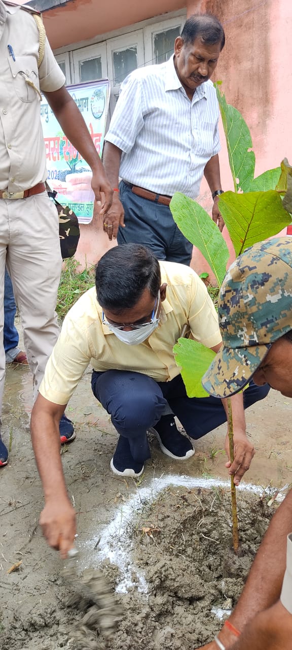 वृक्षारोपण का कार्यक्रम का आयोजन समाहरणालय परिसर सुपौल में किया गया।