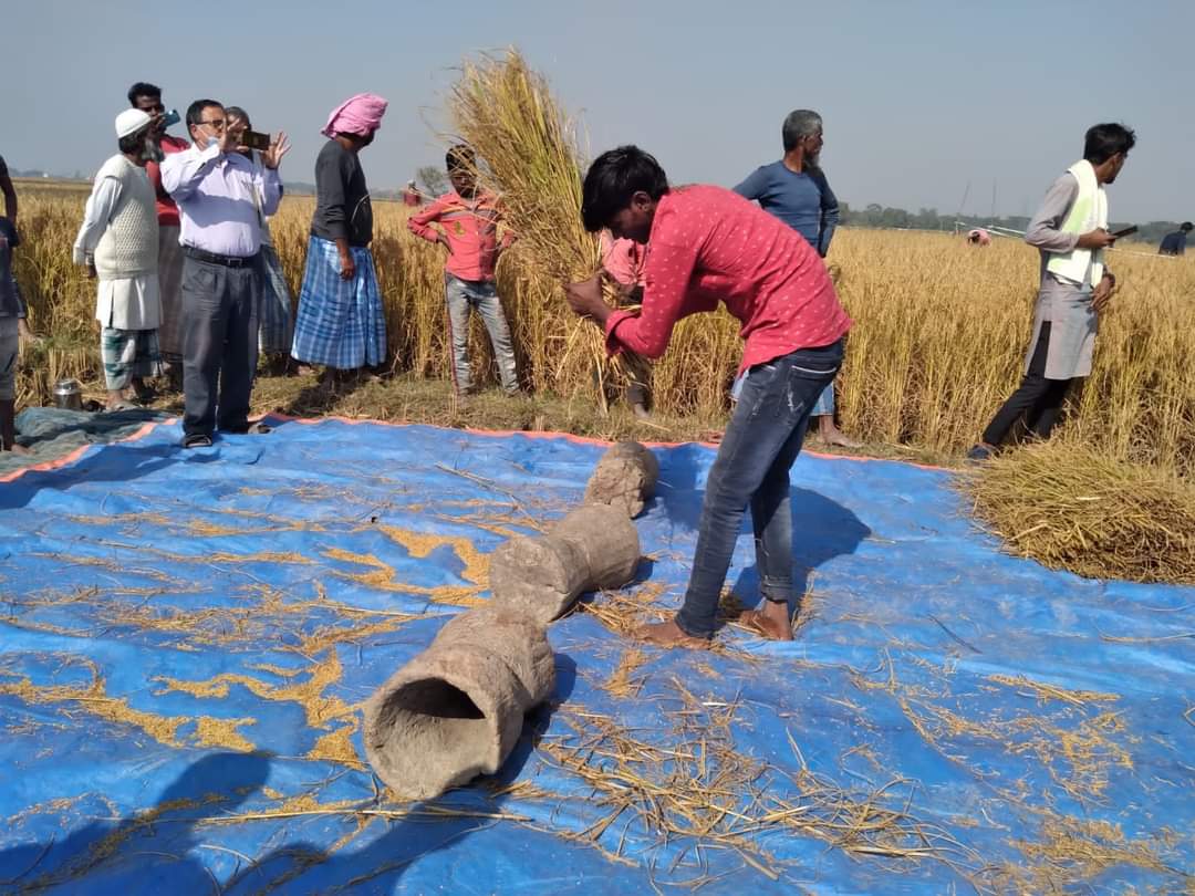 Random विधि से अगहनी धान फसल कटनी प्रयोग का निरीक्षण किया गया