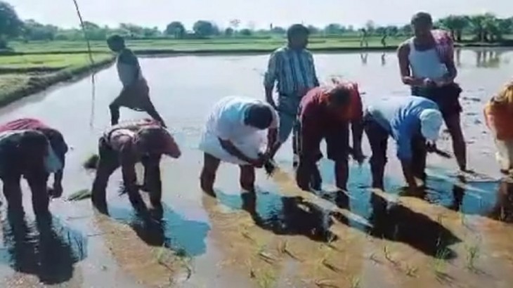 जब खेत मे लुंगी पहन पहुंच गए जिलाधकारी...किसानों के साथ करने लगे रोपनी