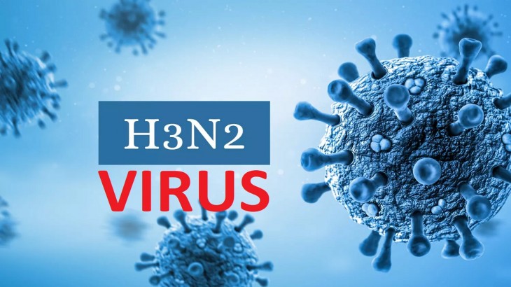 क्या है H3N2 और कैसे बचें इस वायरस से ?