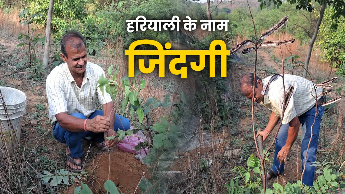 44 साल, 1 लाख पेड़: 'ग्रीन मैन' सिकंदर ने वीरान पहाड़ को बना दिया हरियाली का मंदिर | World Environment Day Special