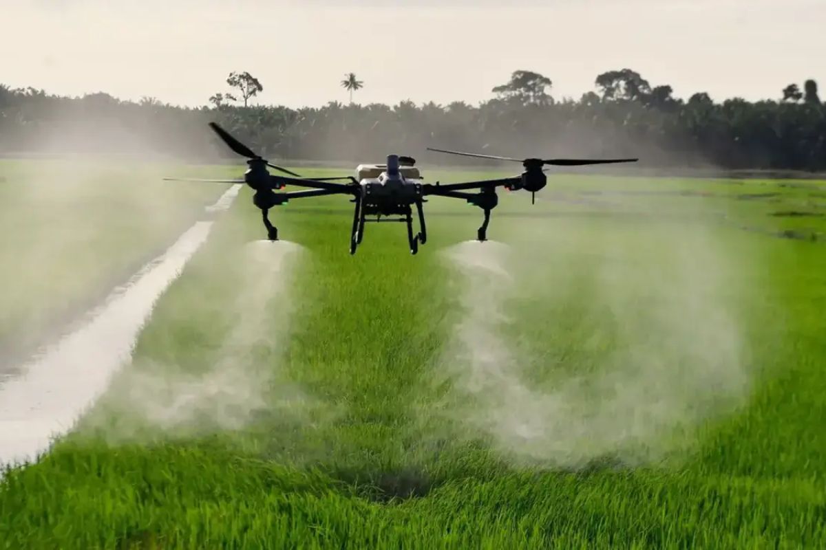 Bihar Kisan: बिहार के किसान होंगे हाइटेक, ड्रोन ट्रेनिंग से खेती में आएगा क्रांतिकारी बदलाव