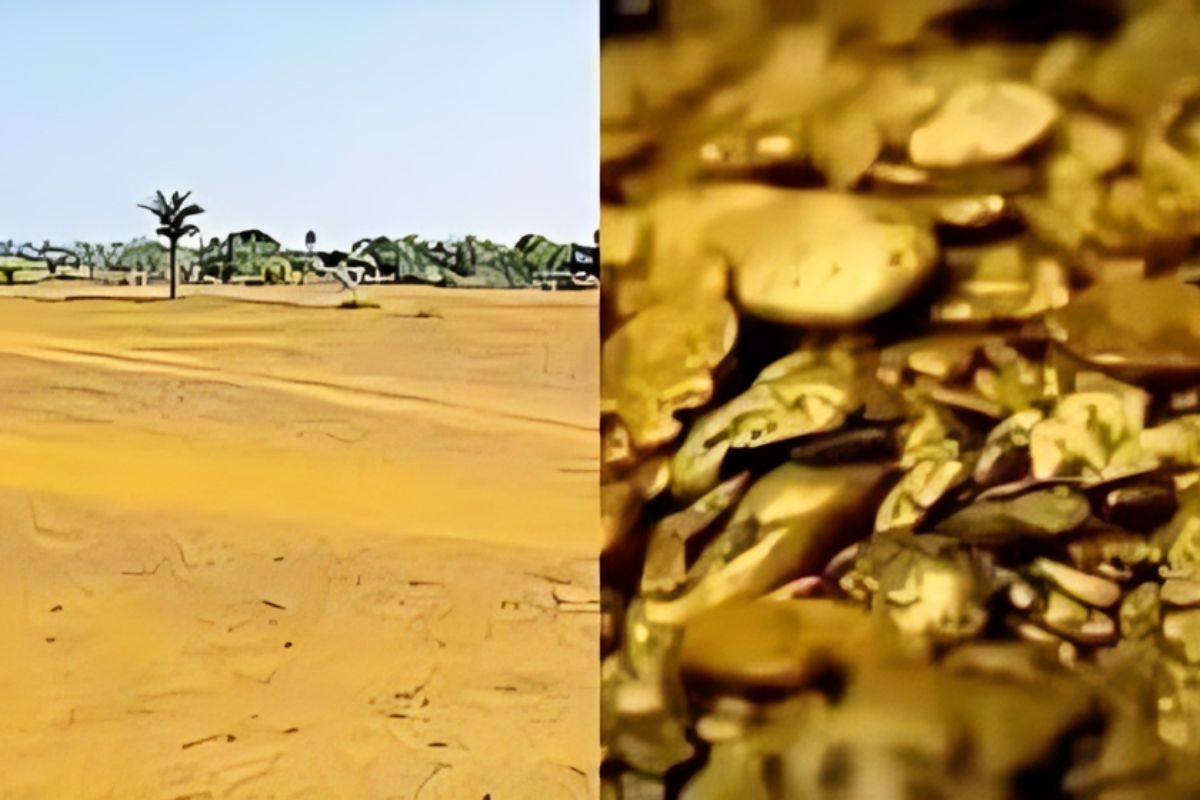 Bihar Gold Reserve: यूपी या कर्नाटक नहीं, अब बिहार बना ‘गोल्ड किंग’, जमुई की धरती में छिपा 222.8 मिलियन टन सोना